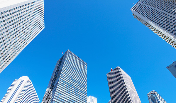 2025年最新最受欢迎的影视网站